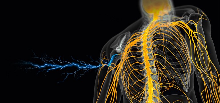 Multimodal Analgesia Pain Management