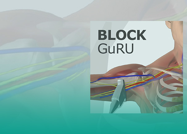 The BLOCK GuRU App